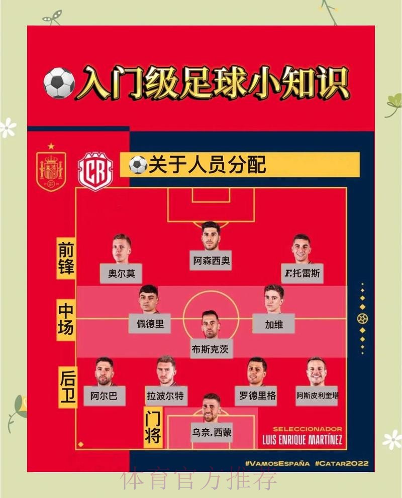 全面解析世界杯投注技巧全站秘诀